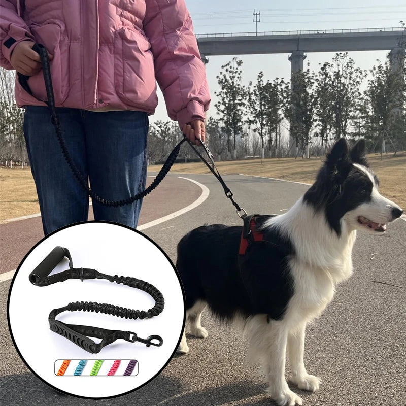 Nylon reflective multi-functional retractable Durable dog leash