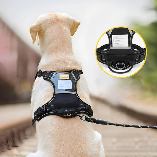 Reflective Dog Harness Vest with Anti-Loss Nameplate | Adjustable Collar & Leash | Breathable Chest and Back Strap for Dogs