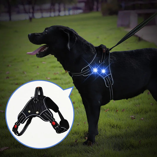 LED Dog Harness Light Up Harness For Dogs At Night Rechargeable No-Pull Dog Vest Light Up Dog Harness