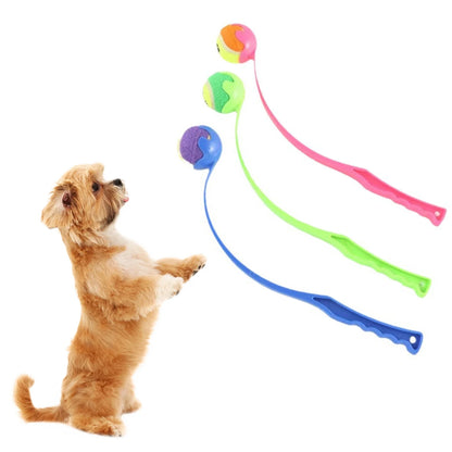 Manual Tennis Ball Launcher For Dogs